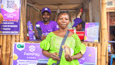 PalmPay growth in Nigeria